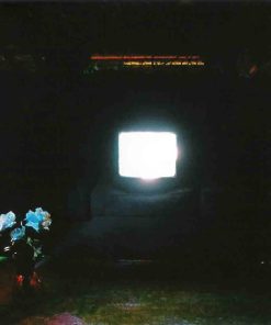 Does It Look Like I&rsquo;m Here?